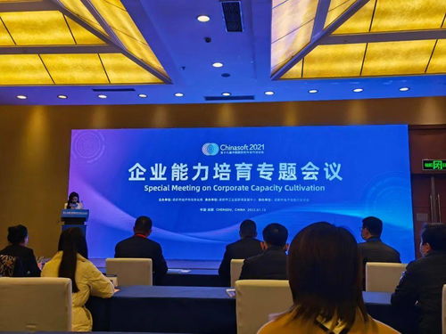 中科大旗榮膺成都市軟件和信息技術(shù)服務(wù)企業(yè)能力成熟度三級(jí)證書(shū)，彰顯卓越技術(shù)服務(wù)實(shí)力